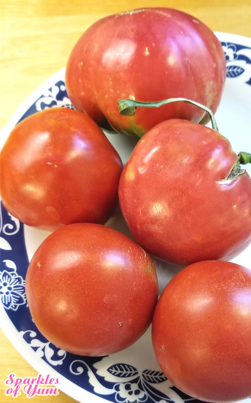 Recipe for Tomato Pie - This Tomato Pie recipe is just creamy, cheesy, tomato'y goodness in a pie crust. Bursting with the flavor of home grown tomatoes. I would almost dare to call this a TRUE pizza pie.