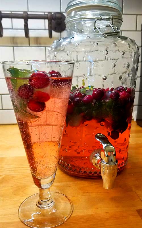 We love to raise our glass during the holidays and we've got a festive Jingle Juice Spritzer to help you ring in the New Year! It went so fast, I almost didn't get a picture!