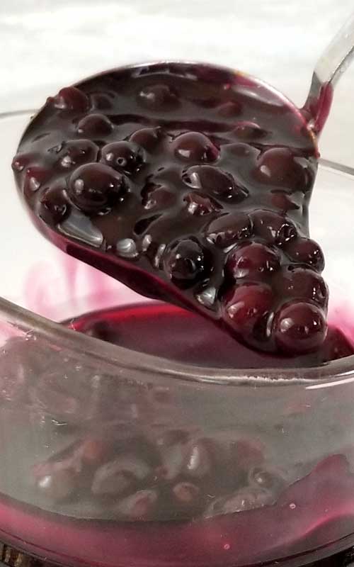 Homemade Blueberry Sauce or Syrup Recipe - If you are already planning next weekends brunch, this scrumptious blueberry sauce (or syrup, or topping, or whatever you want to call it) needs to be on the table!