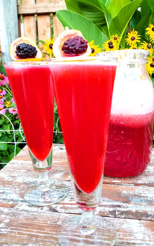 A summer favorite, Blackberry Bourbon Lemonade. A glass or two of this, a big shade tree, and a cool breeze are all you need to make your day complete. What a way to chill out on a hot day.