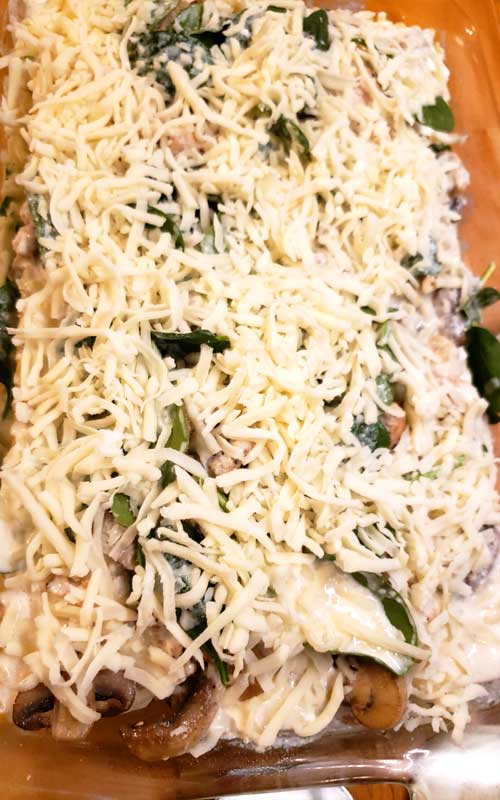 This Extra Creamy Chicken Alfredo Lasagna is not your average Chicken Alfredo Lasagna. It's extra rich and creamy with an easy home made Ricotta Alfredo Sauce. It is everything I crave in comfort food!